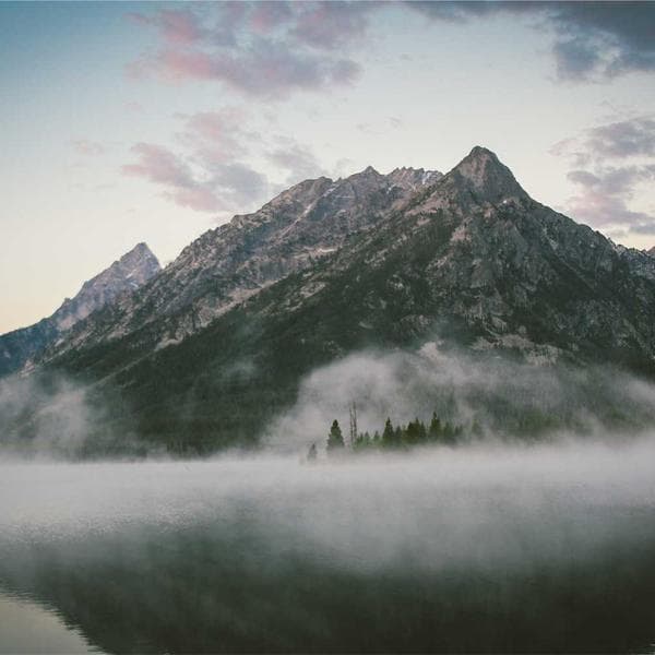 포지션 우드 암레스 체어